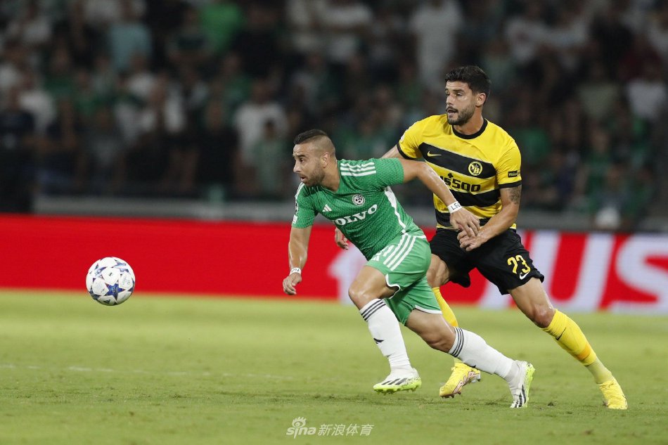 教练在比赛 教练在比赛